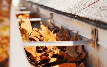 Resolven gutter cleaning companies